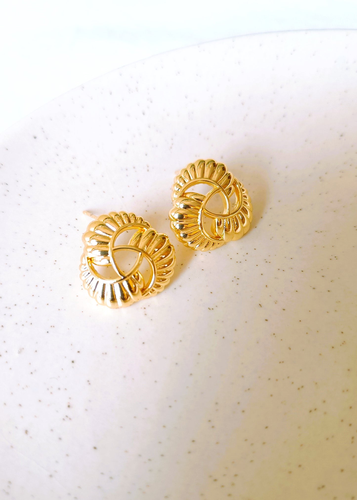 Stainless Steel Golden Lee Earrings