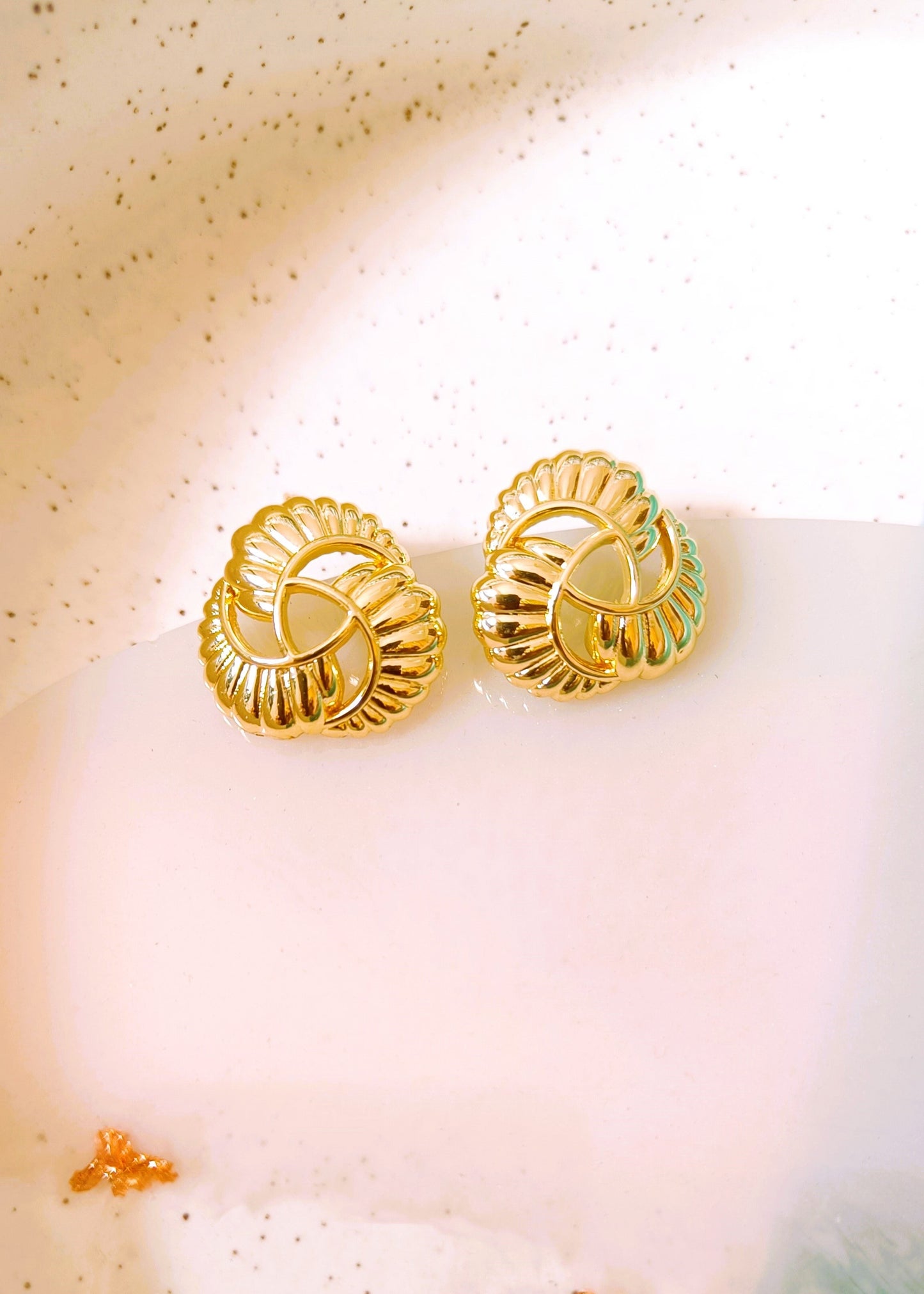 Stainless Steel Golden Lee Earrings