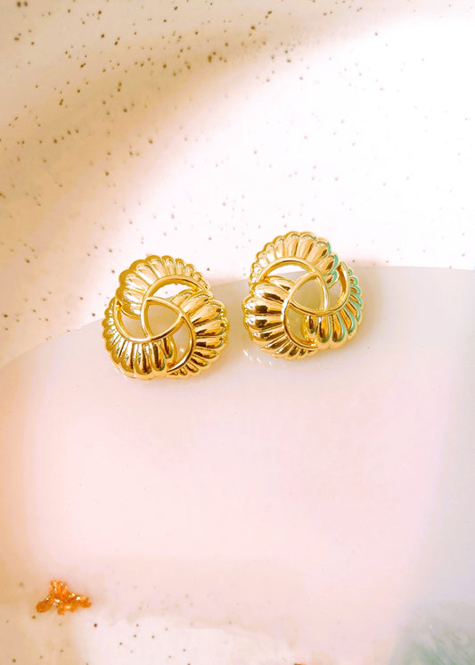 Stainless Steel Golden Lee Earrings